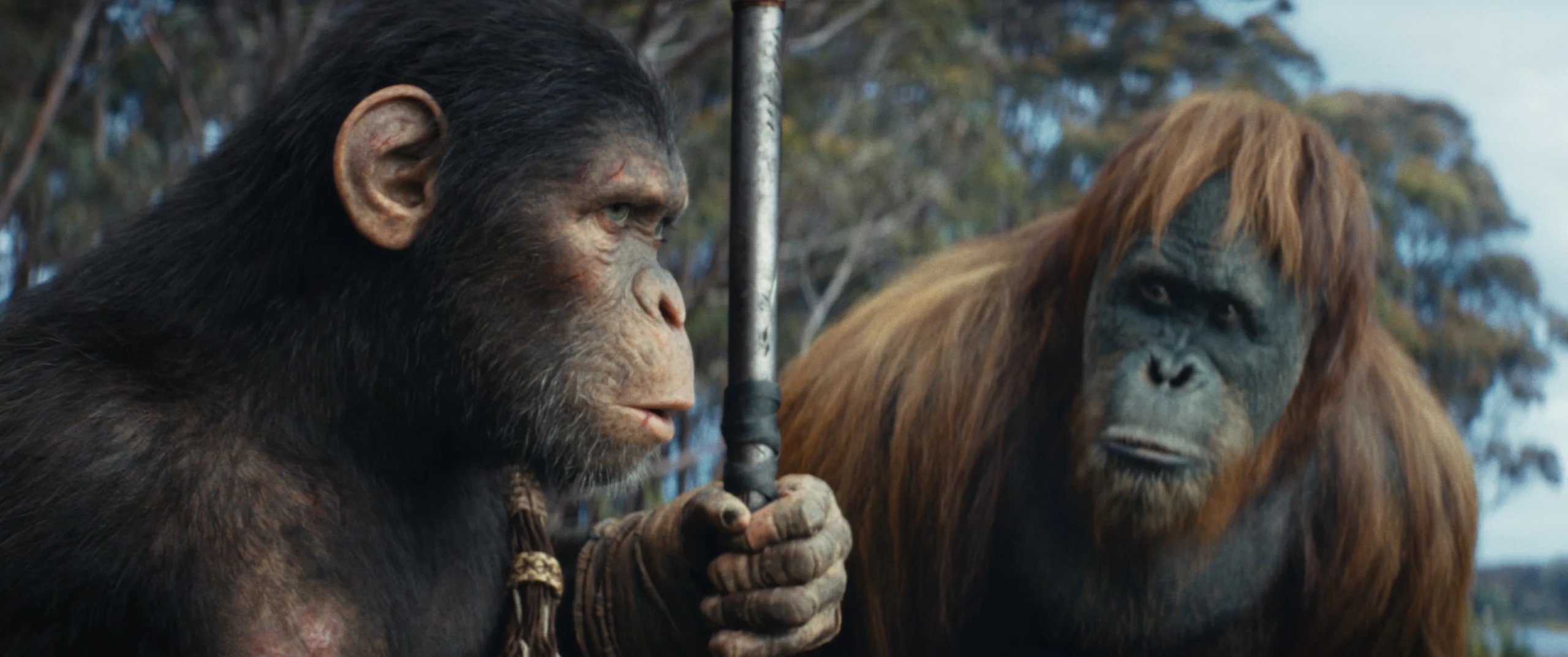 Wes Ball Says ‘Kingdom of The Planet of the Apes’ Has More Simulation Data Than ‘Avatar: The Way of Water’