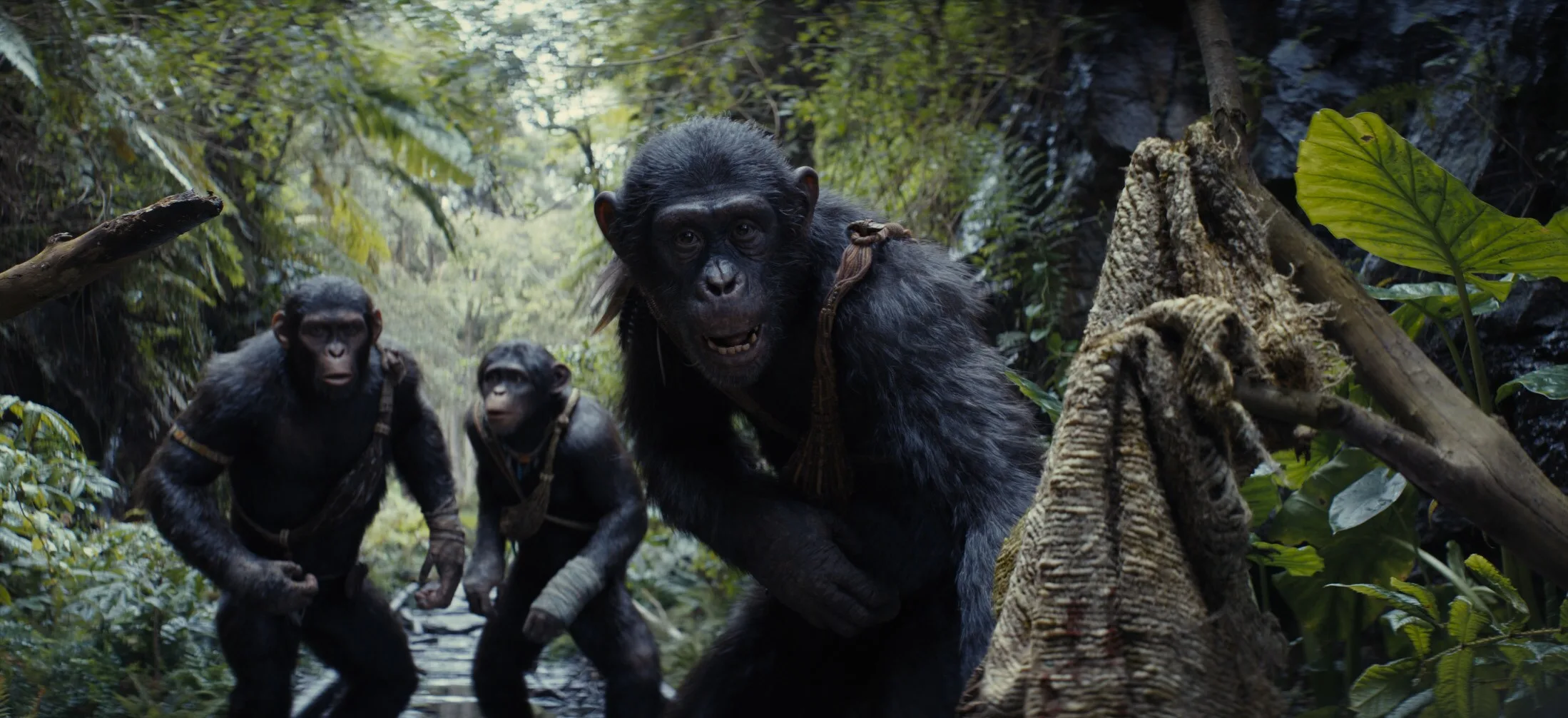 The ‘Kingdom of the Planet of the Apes’ Ending Explained
