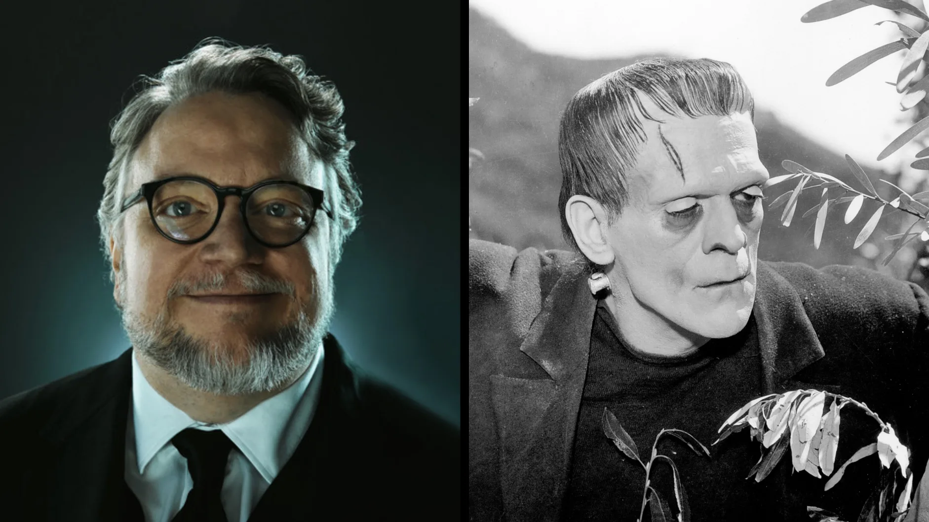 Guillermo del toro frankenstein