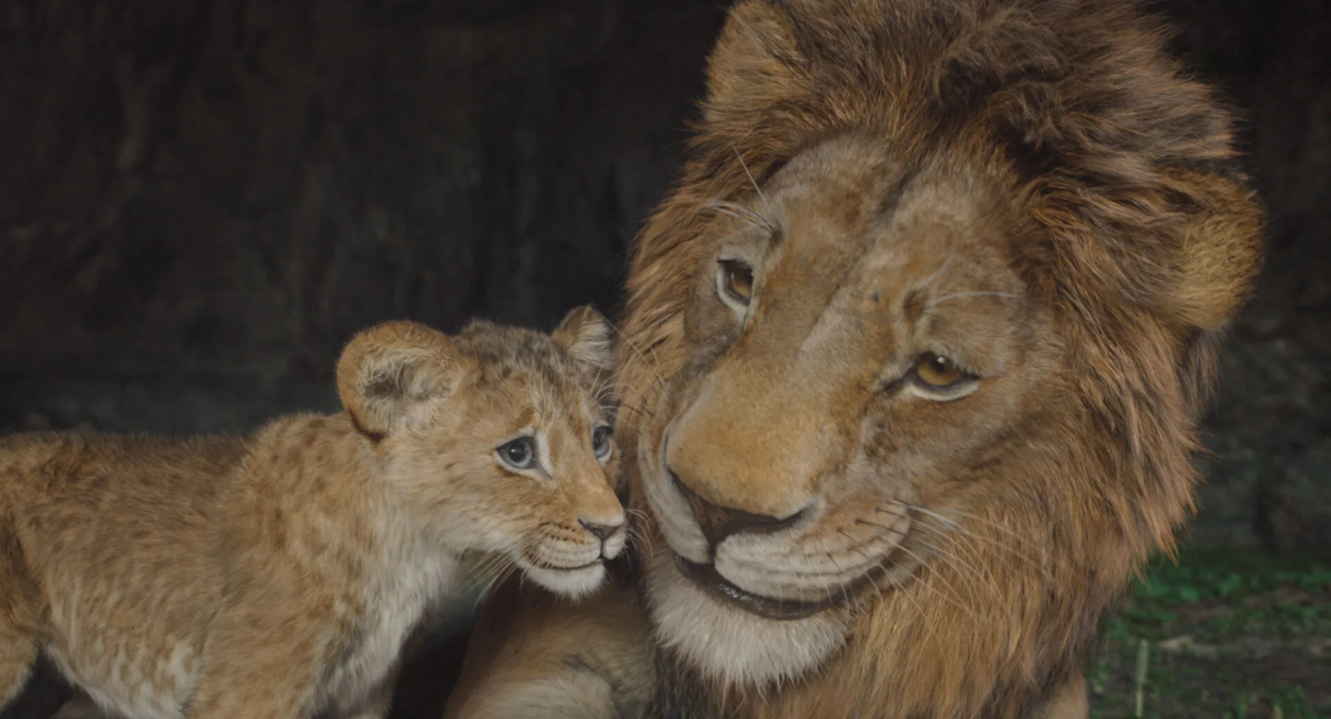 ‘Mufasa: The Lion King’: Another Failed Live Action Attempt