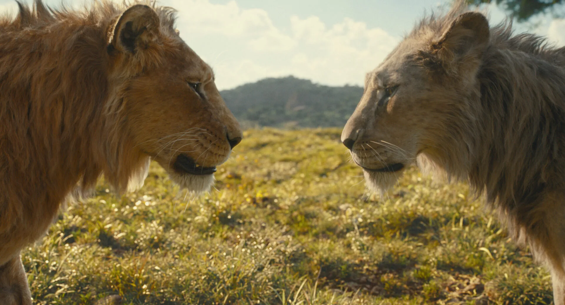 ‘Mufasa: The Lion King’: Another Failed Live Action Attempt