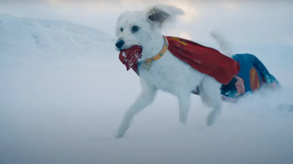 James Gunn’s Next DCU Movie to Include Superman