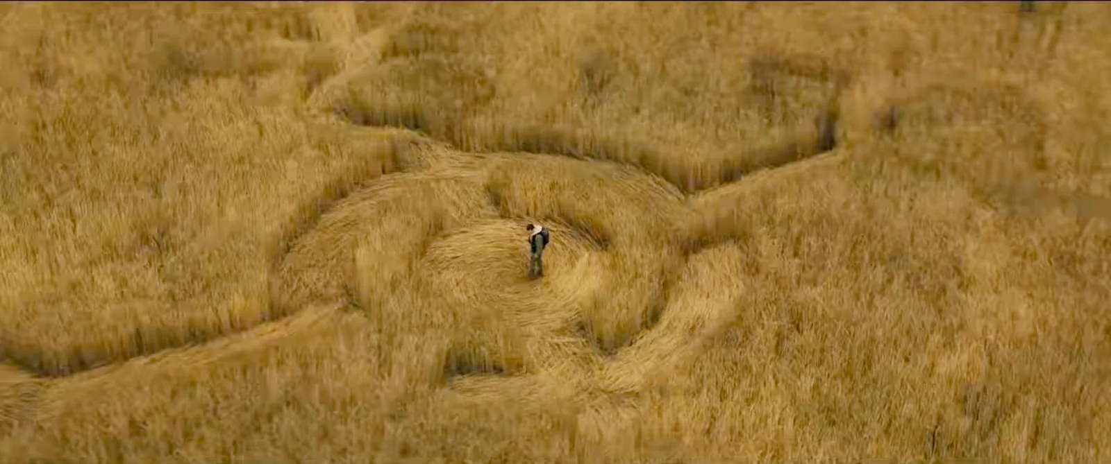 'Disclosure Day' Trailer: New Steven Spielberg Movie Spooks With Alien Thrills