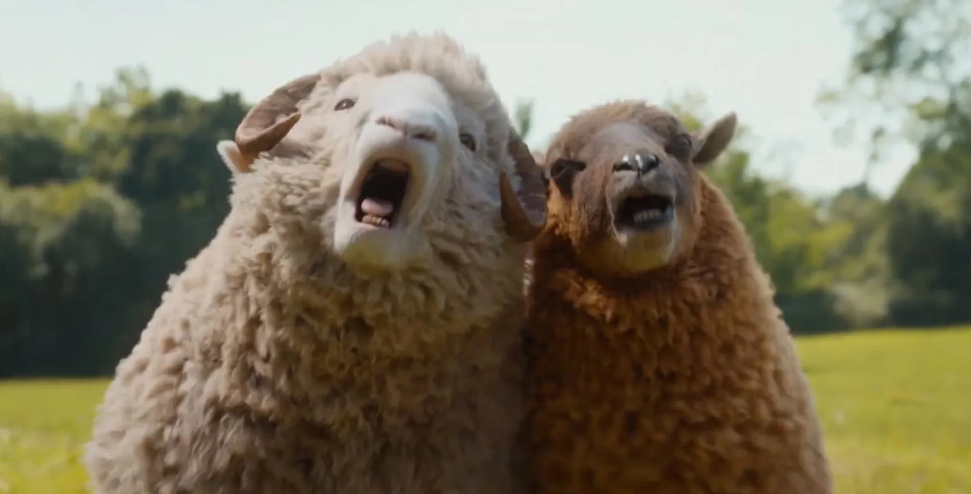 'The Sheep Detectives' Trailer Has The Herd Solve A Murder