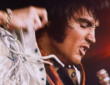 'EPiC: Elvis Presley in Concert' Digital Release Date Reportedly Revealed