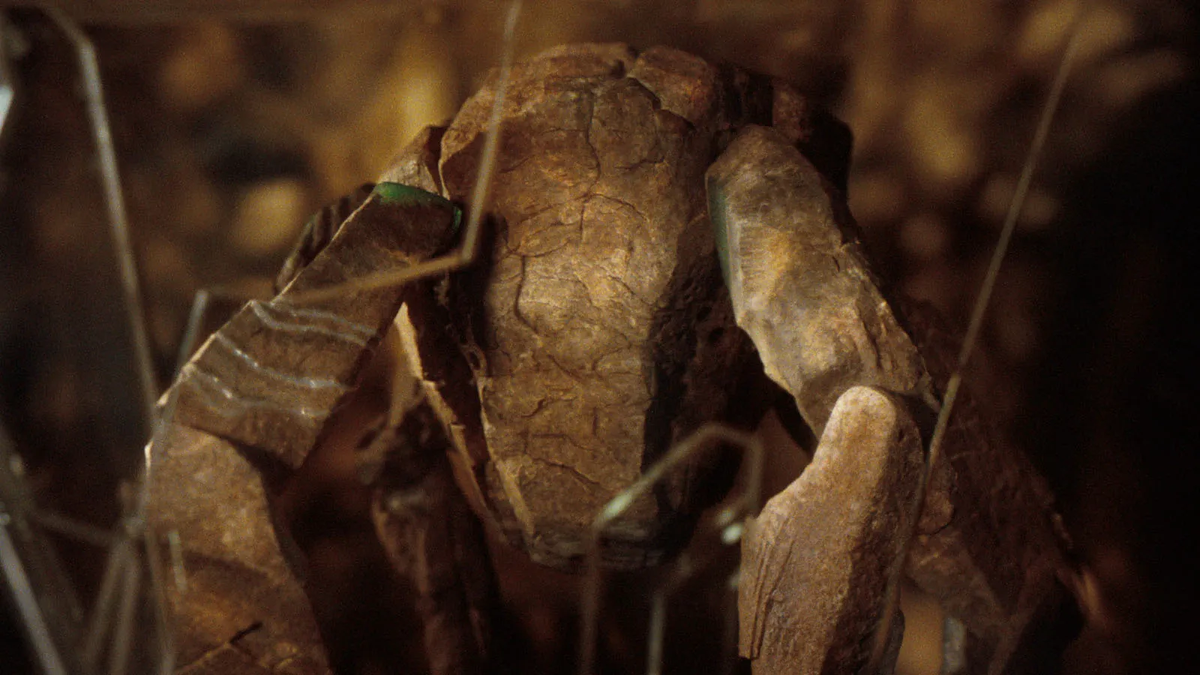 'Project Hail Mary' Review: A Faithful Friend Loves To The End