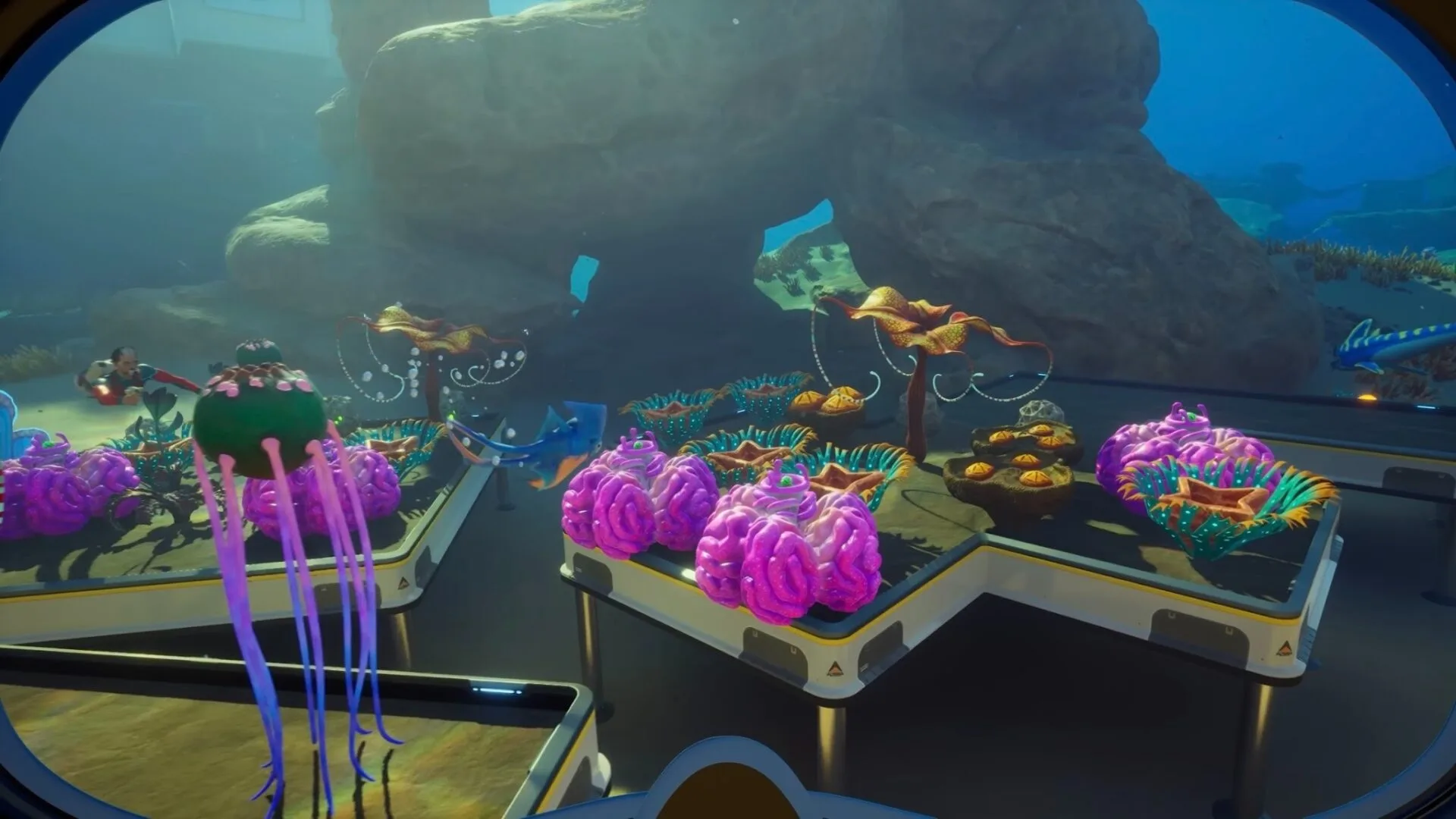 ‘Subnautica 2’ Early Access Gameplay Trailer: Call Of The Tree